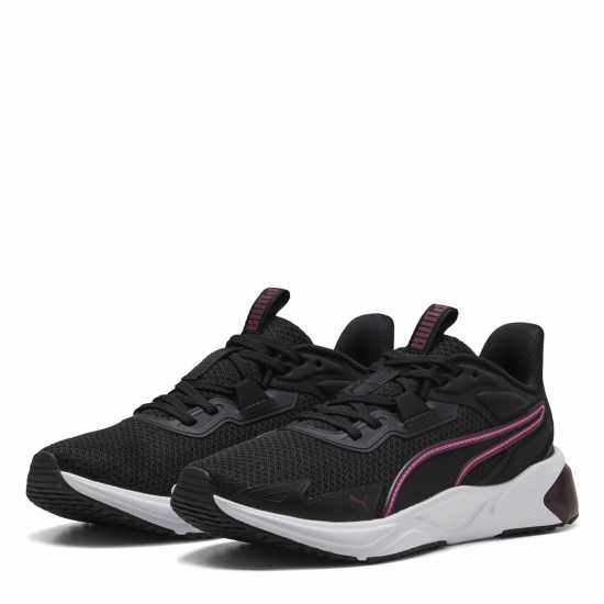 Puma Puma