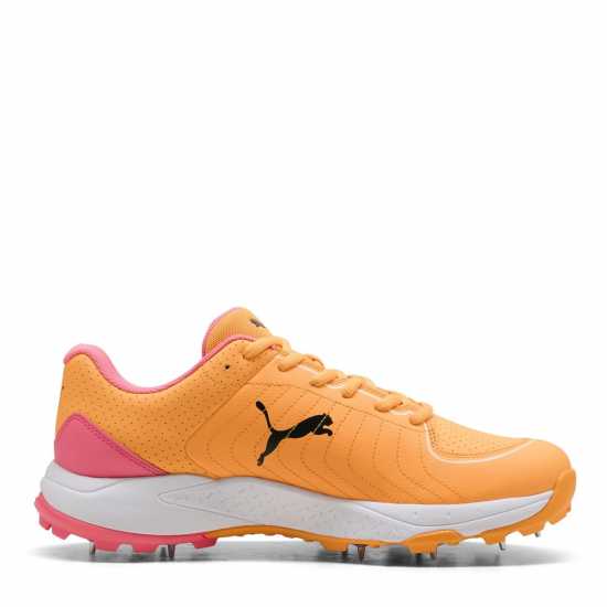 Puma Spike 24.2 Cricket Spikes Mens  