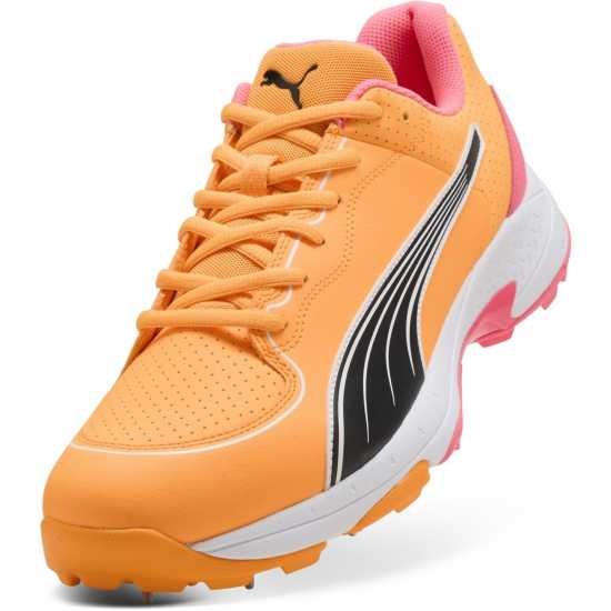 Puma Spike 24.2 Cricket Spikes Mens  
