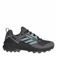 Adidas Terrex Swift R3 Gtx W Hiking Shoes Womens  