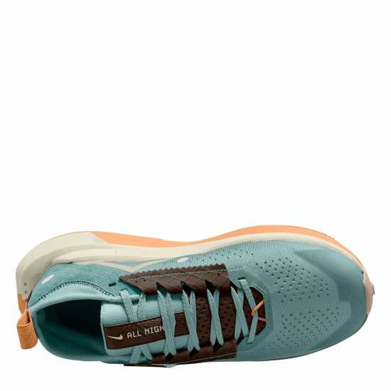 Дамски туристически сандали Nike Zegama Trail 2 Running Shoes Womens Cannon Nike Zegama Trail 2 Running Shoes Womens Cannon Дамски туристически сандали