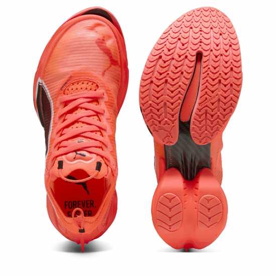 Puma Puma