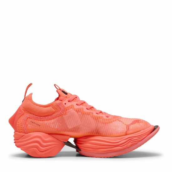 Puma Puma