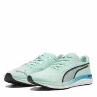 Puma Puma
