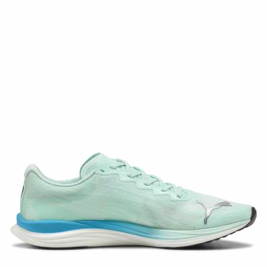 Puma Puma