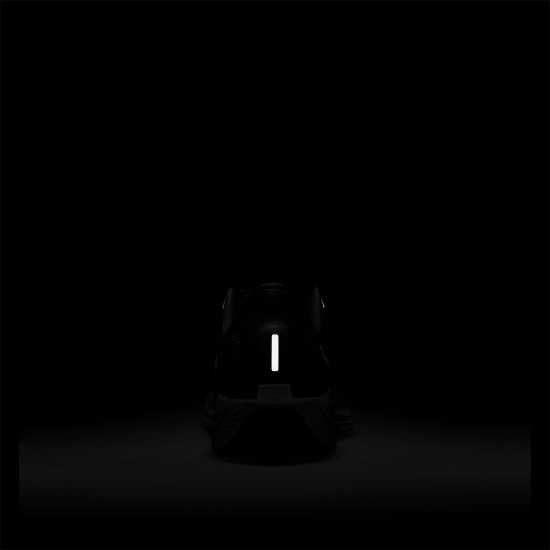 Nike Pegasus Plus Womens Running Shoes  