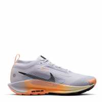 Nike Pegasus Trail 5 Gore-Tex Running Shoes Womens  