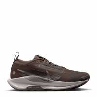Nike Pegasus Trail 5 Gore-Tex Running Shoes Womens Ironstone/Grey 