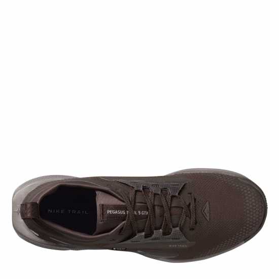 Nike Pegasus Trail 5 Gore-Tex Running Shoes Womens Ironstone/Grey 
