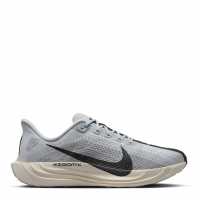 Nike Pegasus Plus Trainers Mens Pure Platinum 