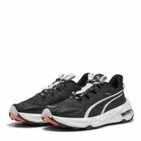 Puma Puma