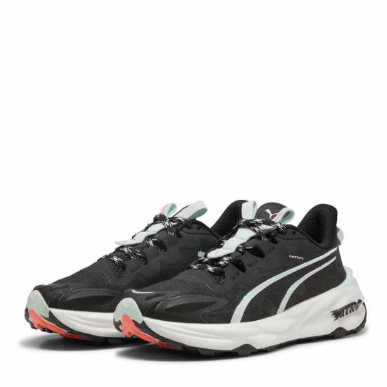 Puma Puma