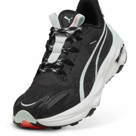 Puma Puma