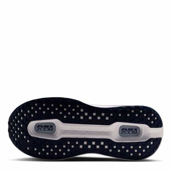 Nike Vomero Premium Road Running Shoes Womens Pearl Pink/Grey 