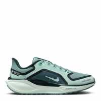 Nike Pegasus 41 Gore-Tex Women's Waterproof Road Running Shoes Womens Топка Nike Pegasus 41 Gore-Tex Women's Waterproof Road Running Shoes Womens Топка