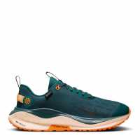 Infinity Rn 4 Gore-tex Men's Waterproof Road Running Shoes