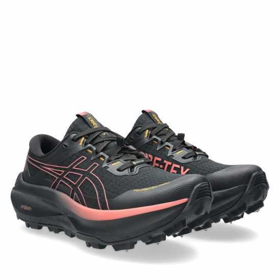 Asics Маратонки За Бягане По Пътеки Fujisetsu Max Gtx Trail Running Shoes Womens  