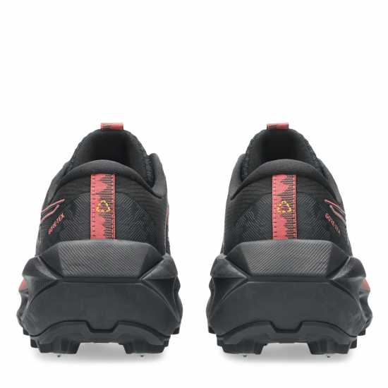 Asics Маратонки За Бягане По Пътеки Fujisetsu Max Gtx Trail Running Shoes Womens  