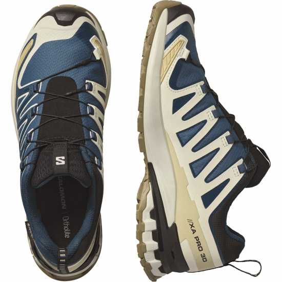 Salomon Мъжки Маратонки За Бягане Xa Pro 3D V9 Mens Trail Running Shoe Син/Ледена стълба 