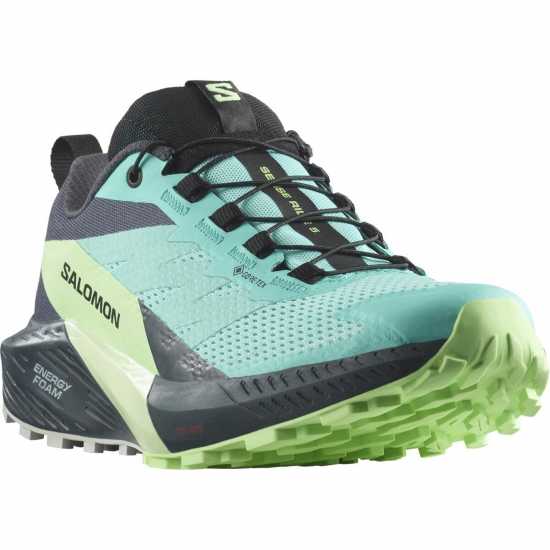 Дамски туристически сандали Salomon Sense Ride 5 GoreTex Women's Trail Running Shoes Синьо/Зелено Salomon Sense Ride 5 GoreTex Women's Trail Running Shoes Синьо/Зелено Дамски туристически сандали