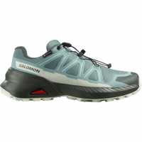 Salomon Маратонки За Бягане По Пътеки Speedcross Peak Goretex Ladie's Trail Running Shoes  Дамски туристически сандали