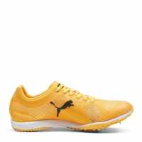 Puma Men's Evospeed Haraka 8 Track Running Spikes  