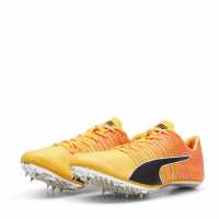 Puma Men's Evospeed Brush 6 Track Running Spikes Puma Men's Evospeed Brush 6 Track Running Spikes