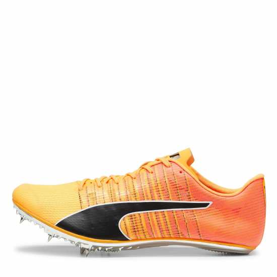 Puma Men's Evospeed Brush 6 Track Running Spikes Puma Men's Evospeed Brush 6 Track Running Spikes