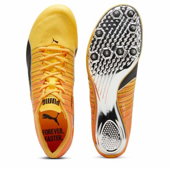 Puma Men's Evospeed Brush 6 Track Running Spikes Puma Men's Evospeed Brush 6 Track Running Spikes