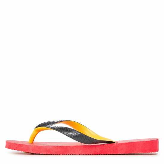 Havaianas Sndl Td100 Ld99  