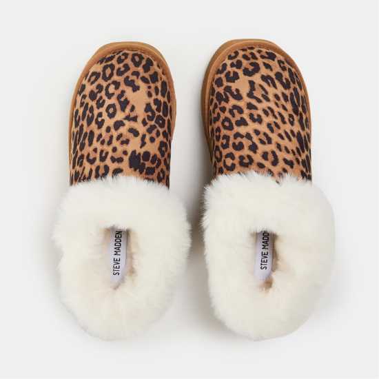 Steve Madden Madden Chaplin Ld99  