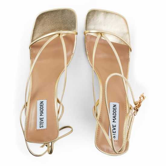 Steve Madden Madden Odessa Ld99  