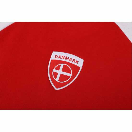 Uefa Детска Блуза С Качулка Denmark Hoody Juniors  