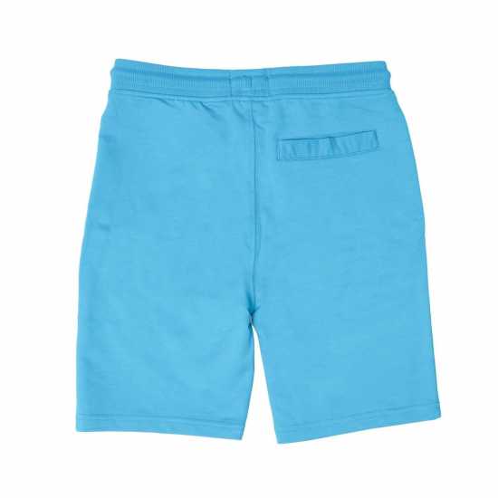 Weekend Offender Cascade Shorts  
