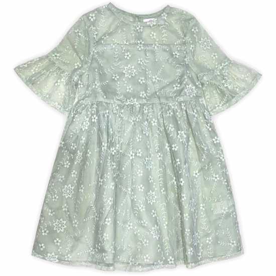 Embroidered Occasion Mini Dress  