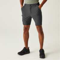 Regatta Travel Light Packaway Shorts Ash Мъжки къси панталони