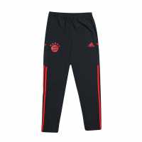 Adidas Bayern Munich Training Presentation Pants
