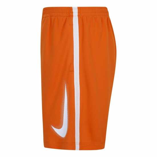 Nike Dri-Fit Hbr Shorts  