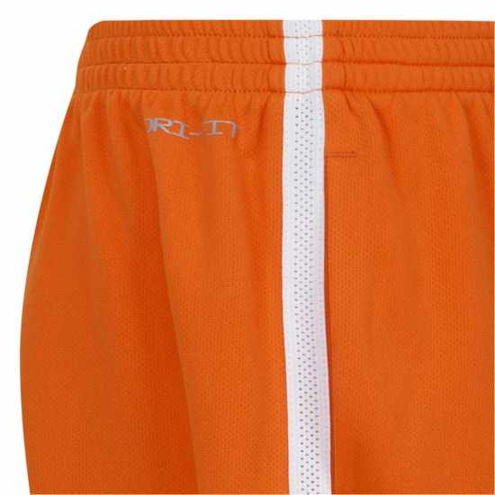 Nike Dri-Fit Hbr Shorts  