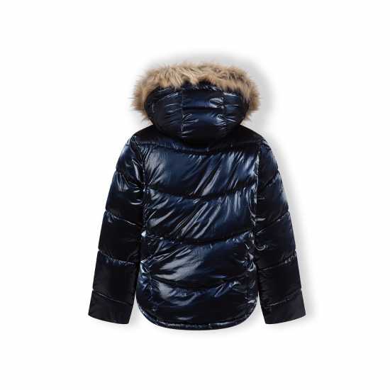 Metal Puffer In99 Metal Puffer In99