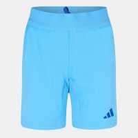 Adidas Women's Goalkeeper Shorts Синьо 