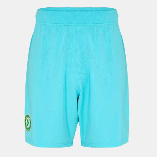 Castore Fai P A Gk S Sn99  Вратарски ръкавици и облекло