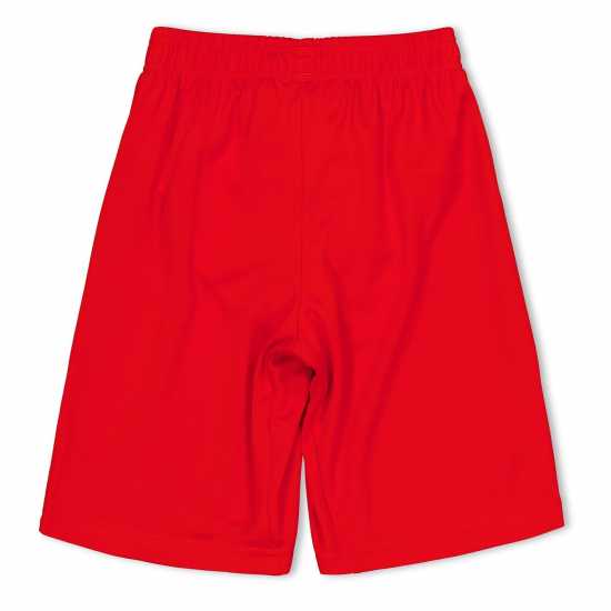 Puma (3) Fb Team Shorts With Brief Infants  