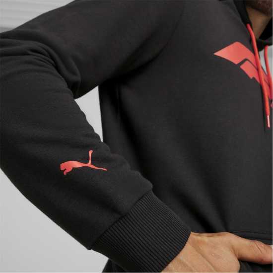 Puma Puma