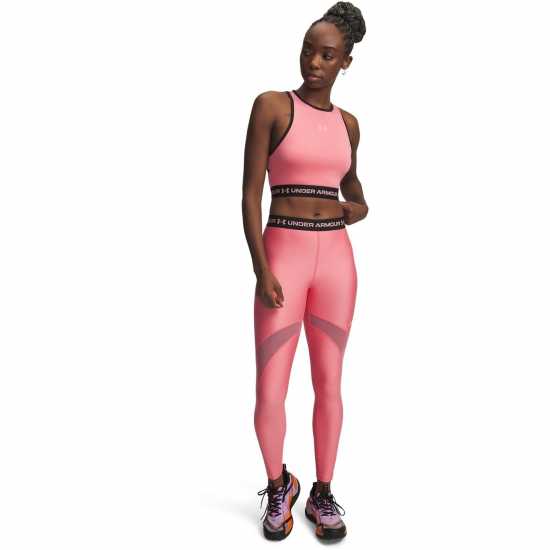 Under Armour Ua Hg Mesh Tight Ld62 Pink/Posh Pink Under Armour Ua Hg Mesh Tight Ld62 Pink/Posh Pink