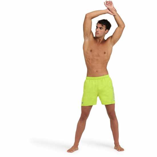 Arena Fundamentals Logo R Beach Boxer Soft green 