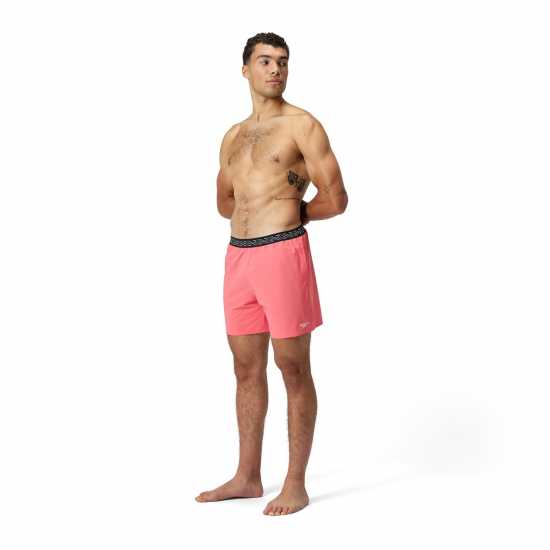 Мъжки плувни шорти и клинове Speedo Mens Hyperboom Band 16 Watershort Speedo Mens Hyperboom Band 16 Watershort Мъжки плувни шорти и клинове