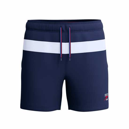 Speedo Jetstream Retro Colorblock Volley Swim Trunks  
