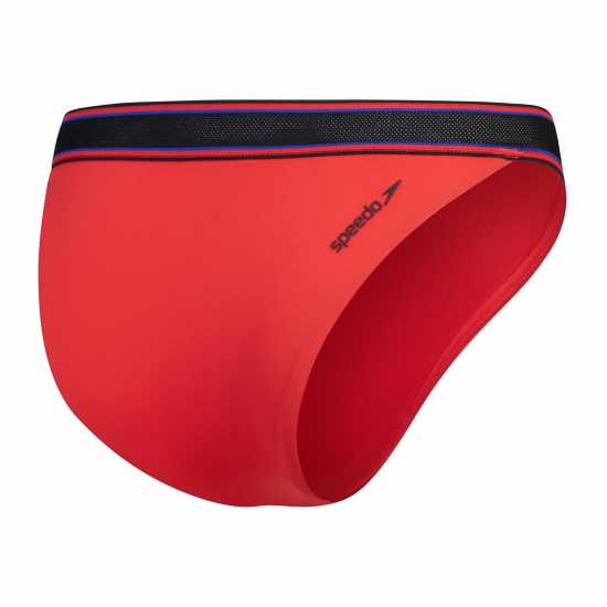 Speedo V Btm 610 Ld99 Speedo V Btm 610 Ld99