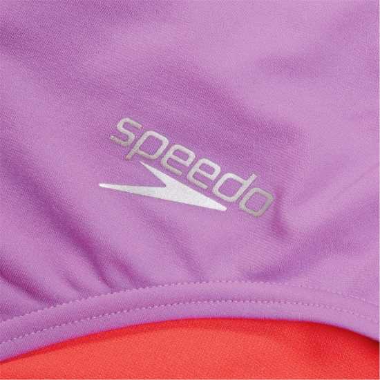 Speedo Women's One Piece Swimsuits  